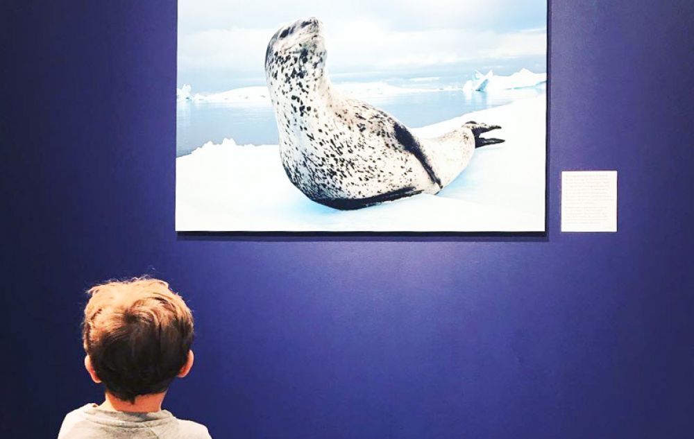 visiter Bordeaux avec les enfants